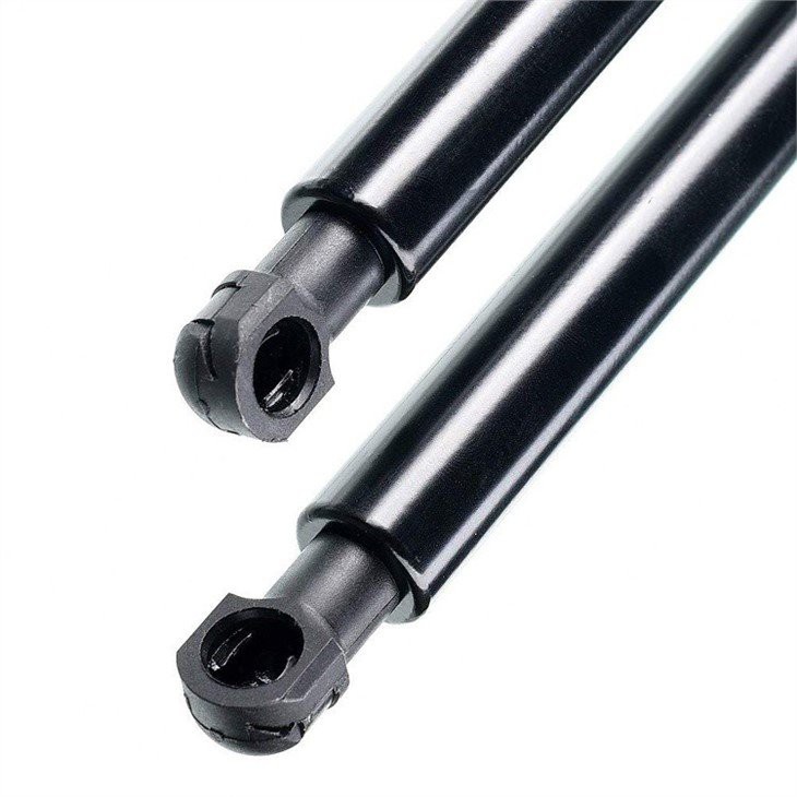 Bonnet Gas Struts